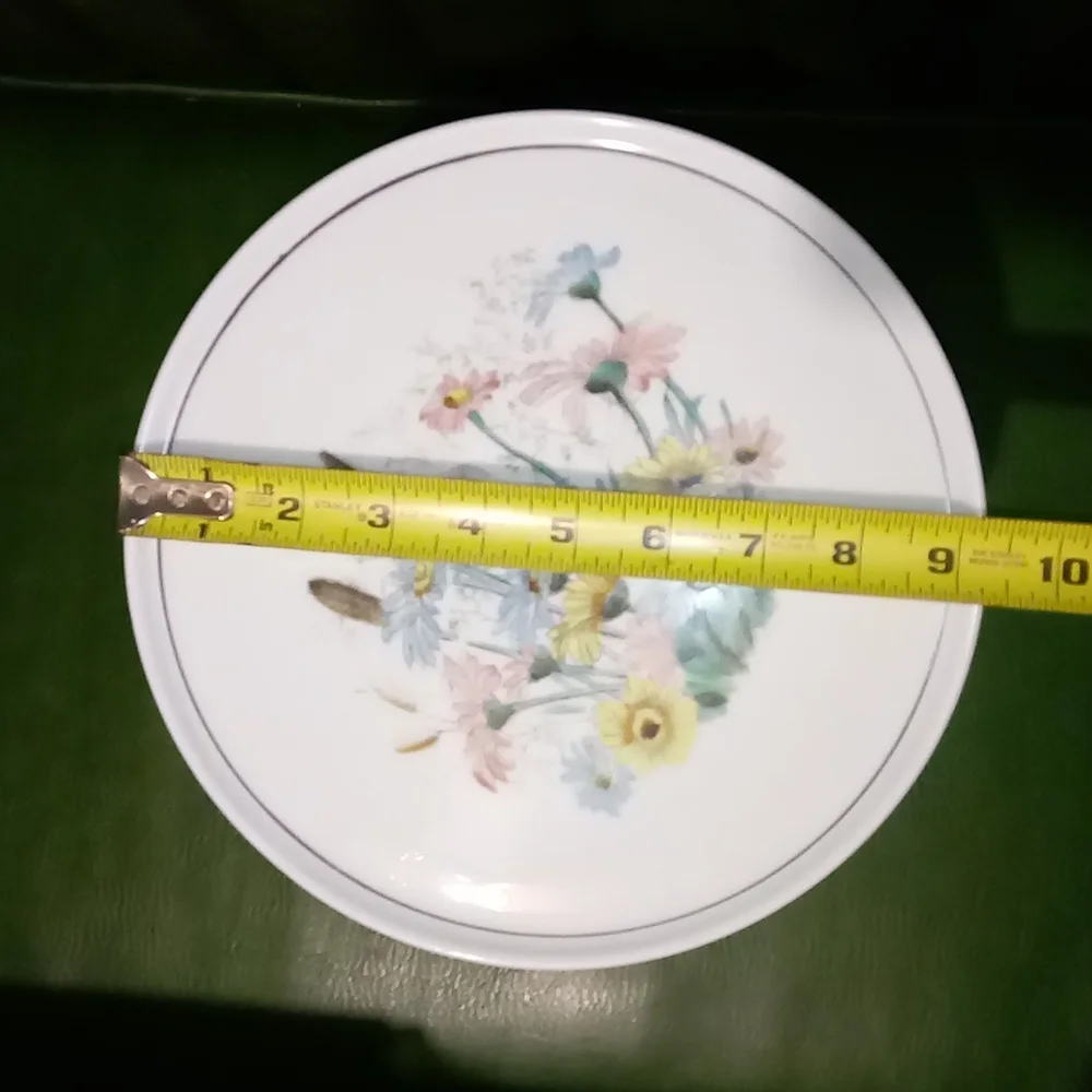 Vintage Hand Painted Milk Glass Pedestal Cake Stand Challinor Taylor Co